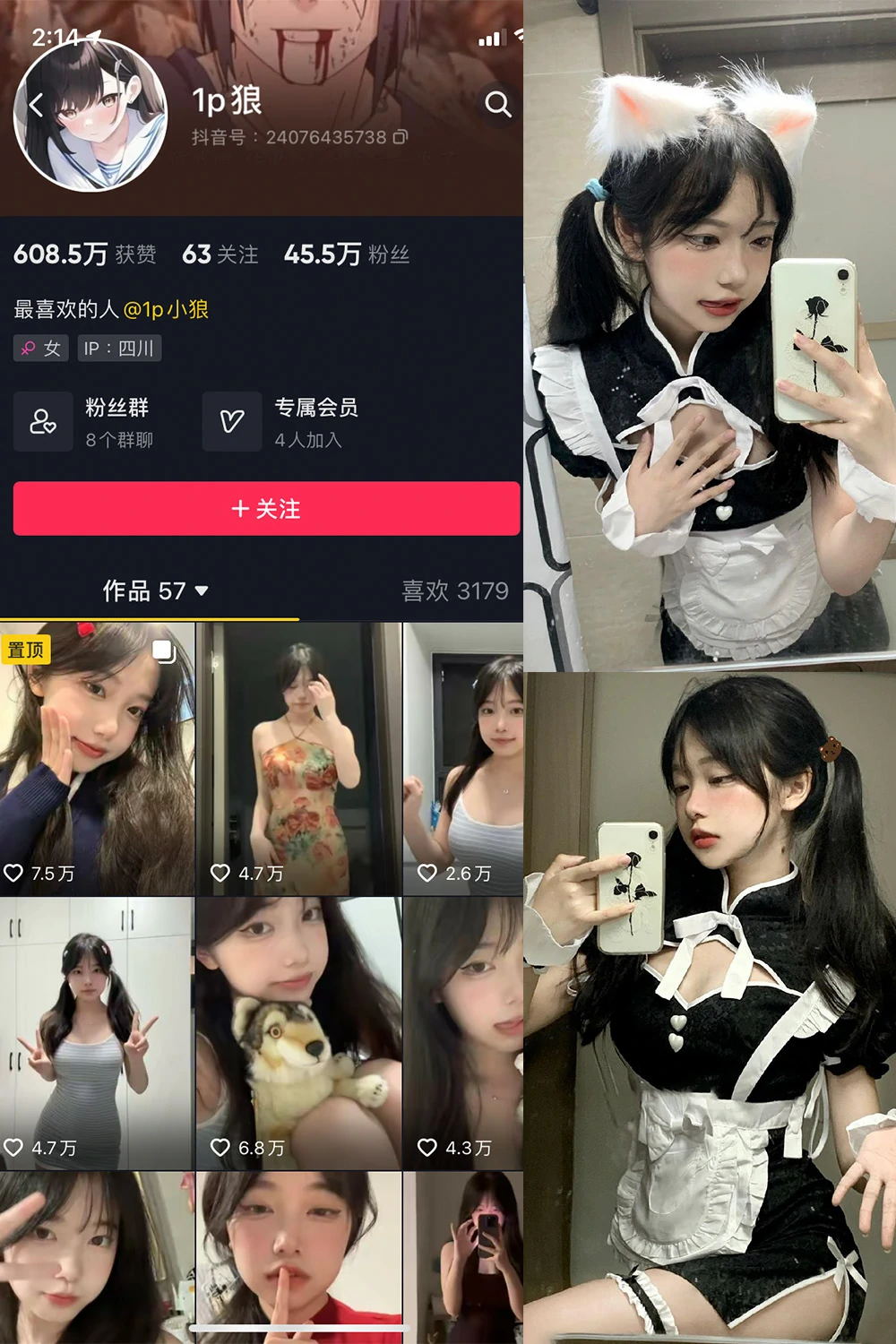 电鸽 1p狼 抖音网红 NO.001期 【23P】抖音完整版合集-电鸽