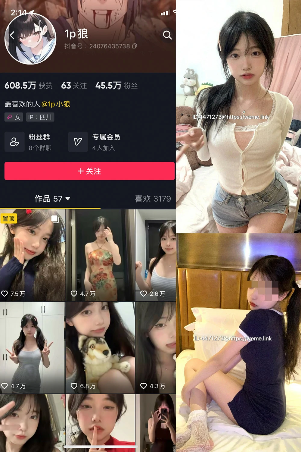 电鸽 1p狼 抖音网红 NO.002期 【22P1V】抖音完整版合集-电鸽