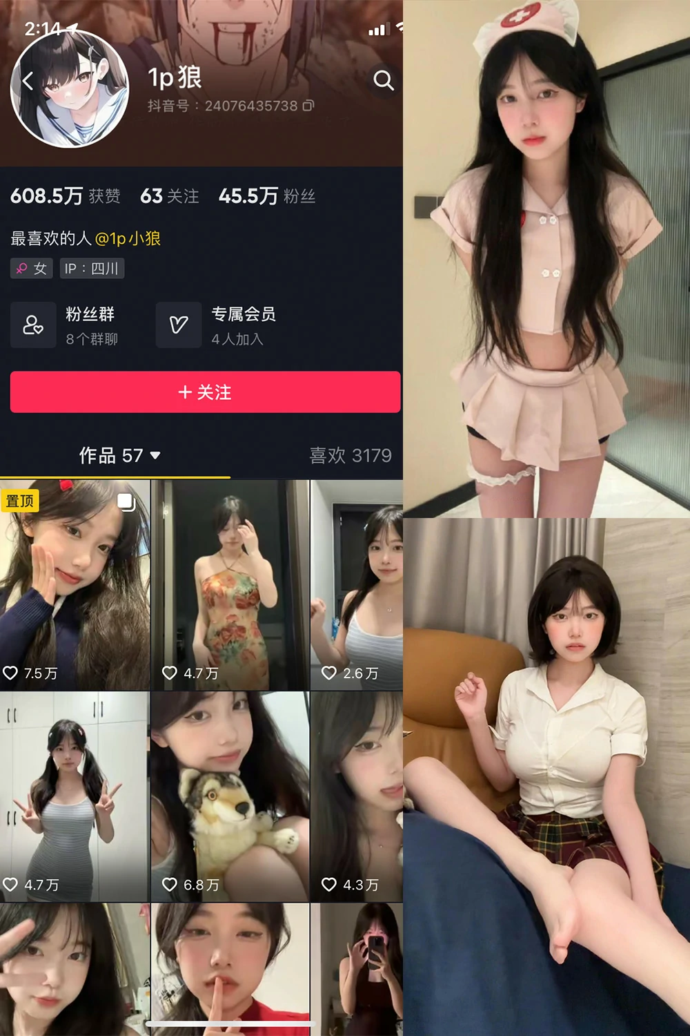 电鸽 1p狼 抖音网红 NO.006期 【12P3V】抖音完整版合集-电鸽