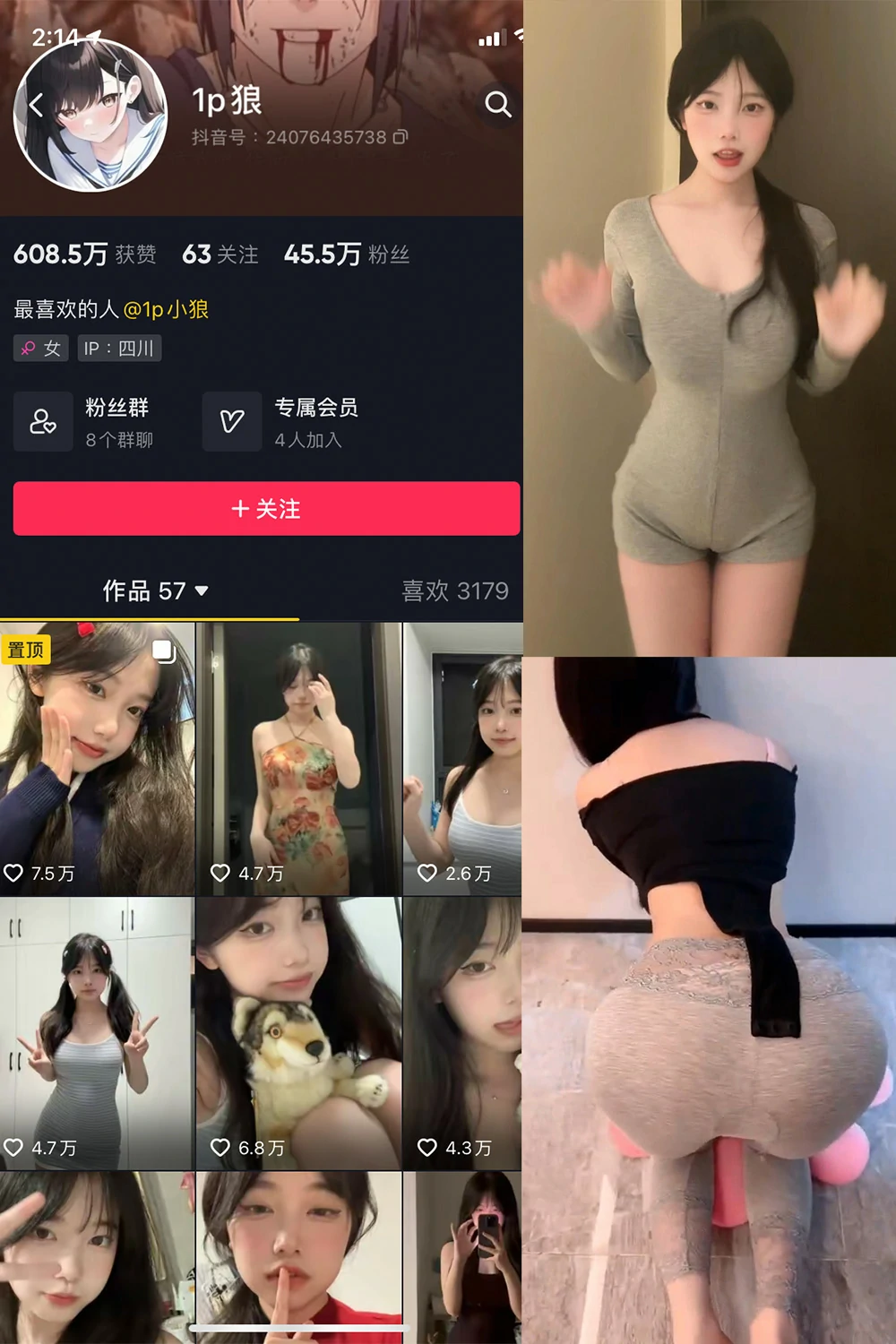 电鸽 1p狼 抖音网红 NO.008期 【17P15V】 抖音完整版合集-电鸽